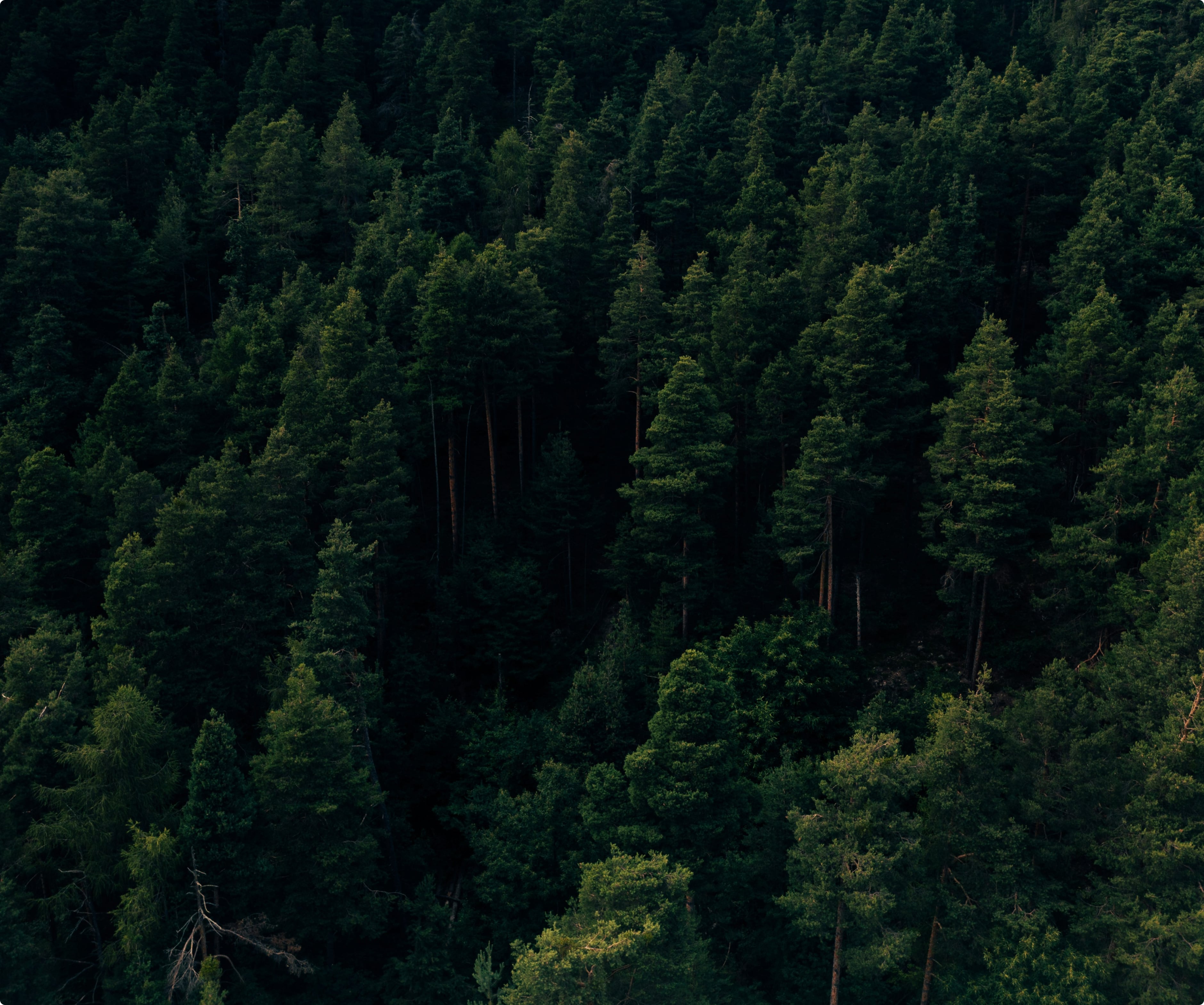 Long-term sustainable vision